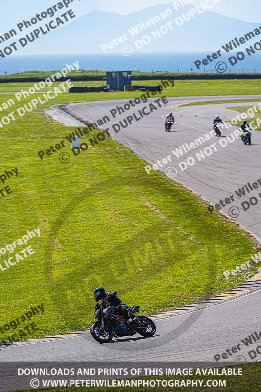 anglesey no limits trackday;anglesey photographs;anglesey trackday photographs;enduro digital images;event digital images;eventdigitalimages;no limits trackdays;peter wileman photography;racing digital images;trac mon;trackday digital images;trackday photos;ty croes